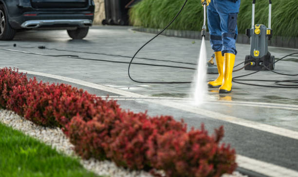 Best Sidewalk and Walkway Cleaning  in Comfort, TX